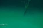 Angelita Cenote